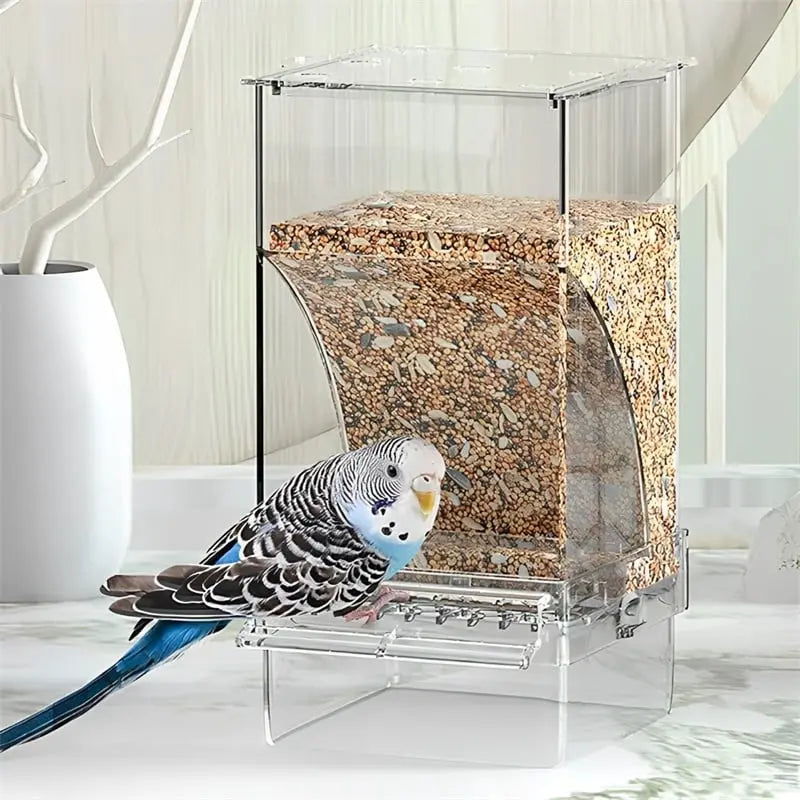 Automatic Bird Feeder – No Mess, No Stress