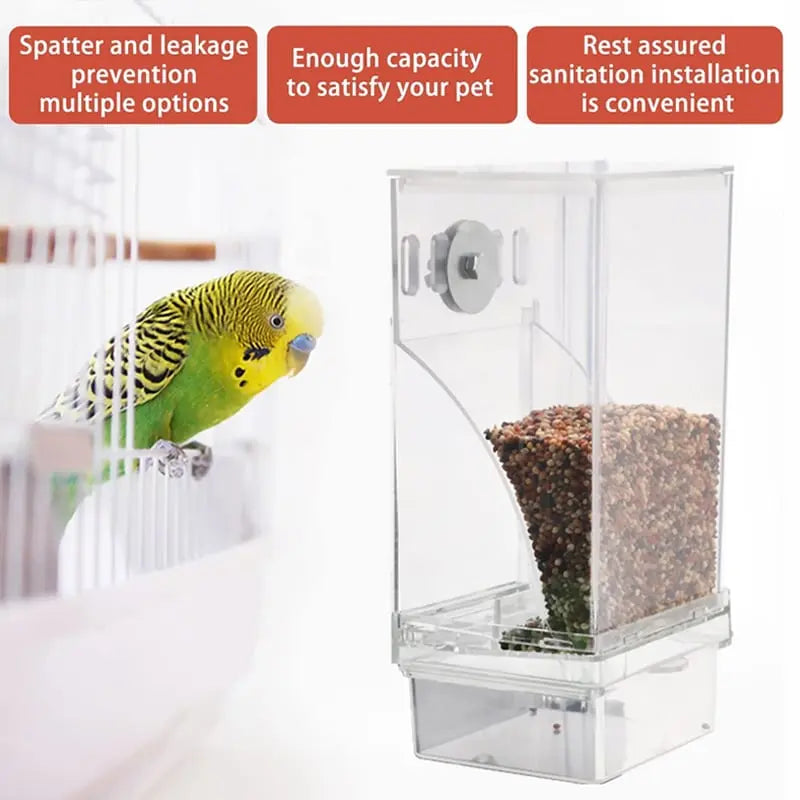 Automatic Bird Feeder – No Mess, No Stress