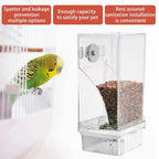 Automatic Bird Feeder – No Mess, No Stress
