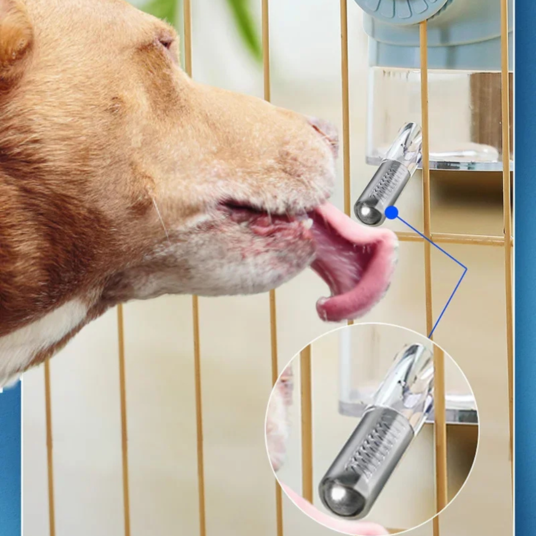 Hanging automatic water dispenser hygienic