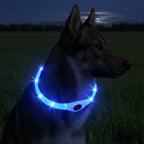 LED Light Collar for Dogs for Safe Walks at Night