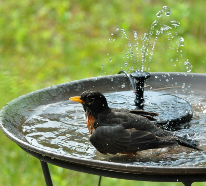 Flowbee – Elegant Solar Fountain for Garden Birds