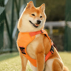 Pet Chest-Back Integrated Automatic Retractable Leash