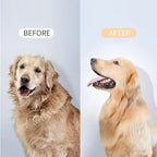 Pet De-Shedding Spray And Blow-Dry Brush