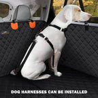 DogBench | Travel peacefully with your dog