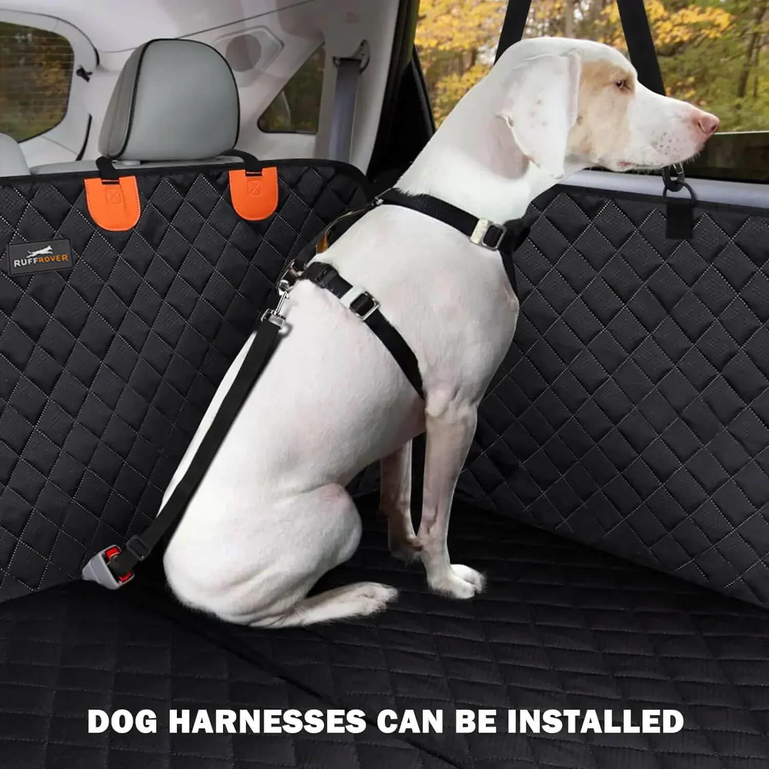 DogBench | Travel peacefully with your dog
