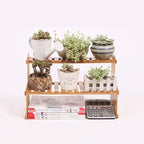 Bamboo Flowers Plants Shelf