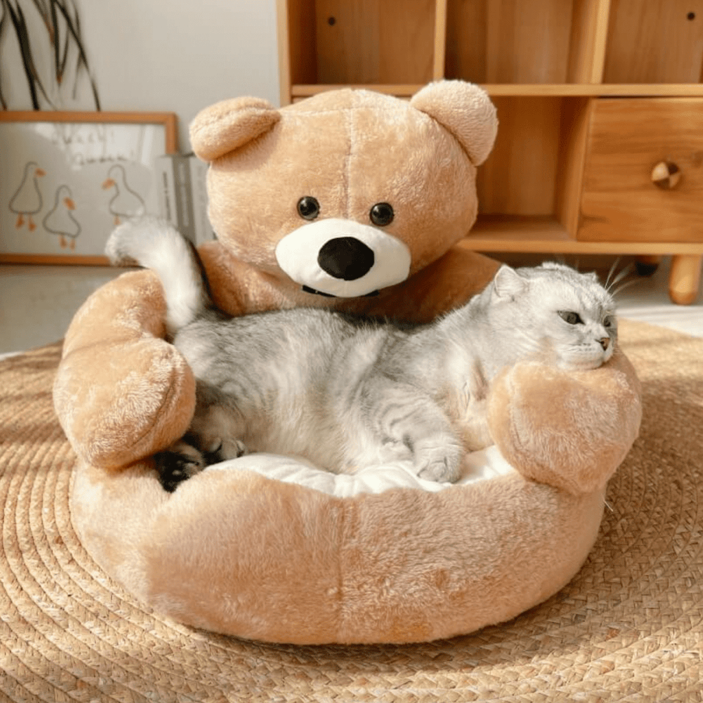 Round cuddly bed for cozy cat sleep