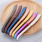 Precision kitchen knife with ultra-sharp stainless steel blade