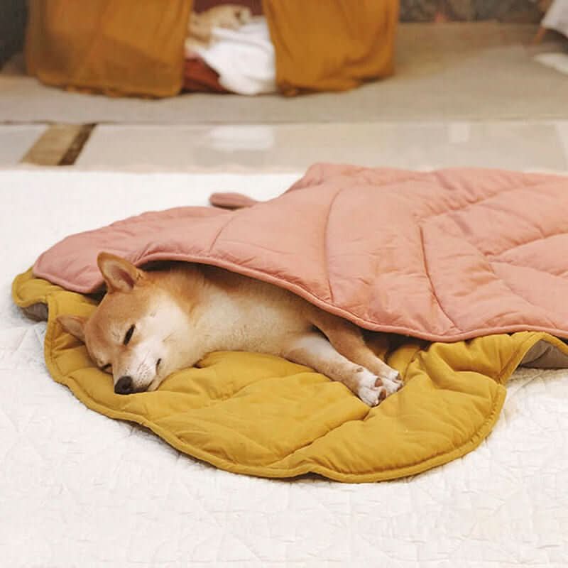 Leaf-shaped dog blanket for comfort & home style