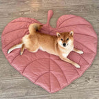 Leaf-shaped dog blanket for comfort & home style