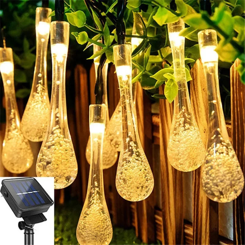 Energetic Garden Elegance