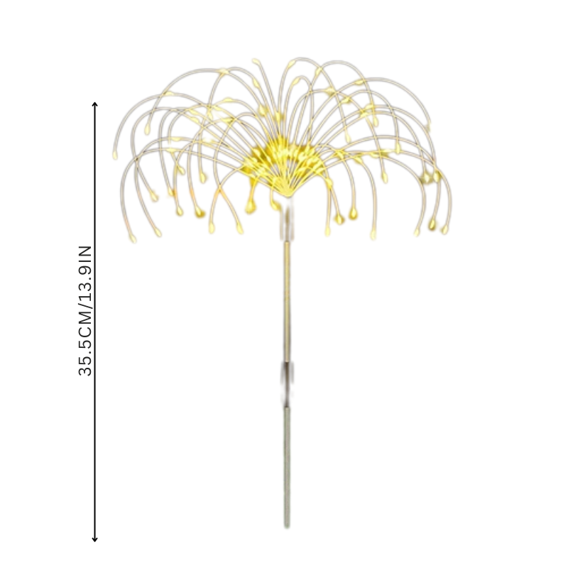 BloomBright