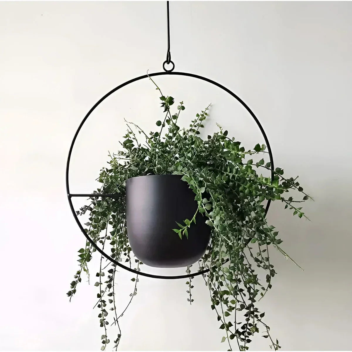 PetalAura - Verdura Oasis Plant Pot