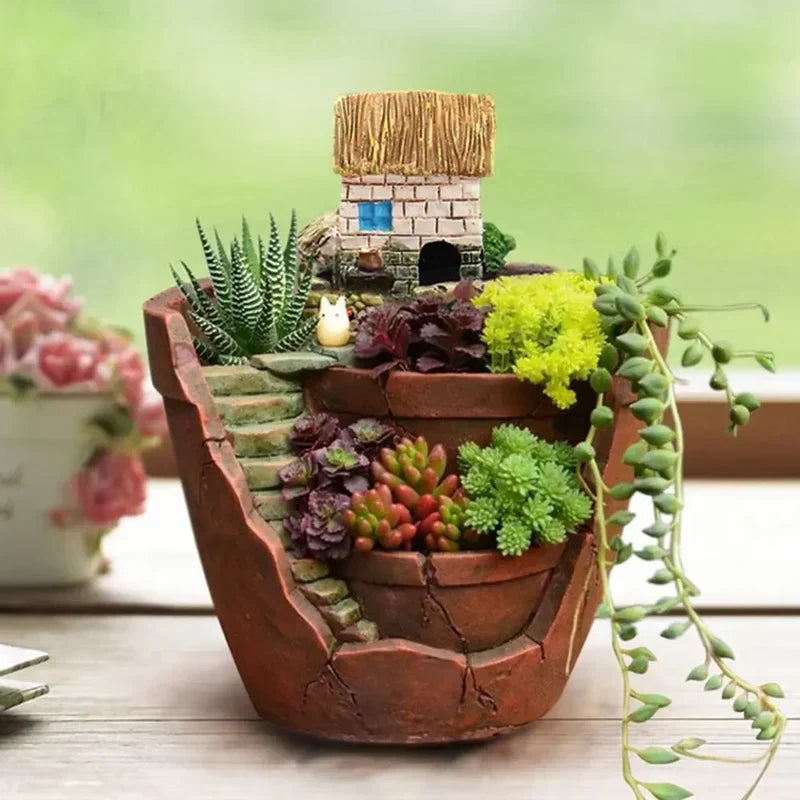 Elegant Container for Succulents and Herbs