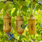 Wooden Hanging Hummingbird Nesting House Set
