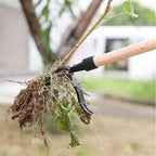 Mechanical Weeder