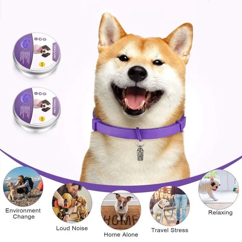 Calming collar with pheromones & essential oils for dogs