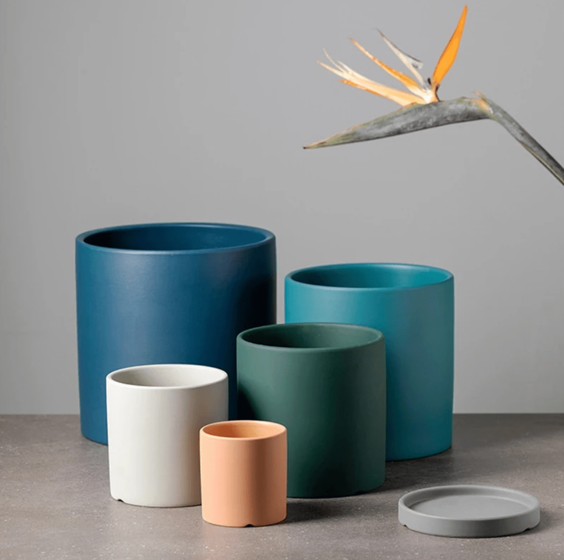 Elegant flowerpot made of ceramic with saucer