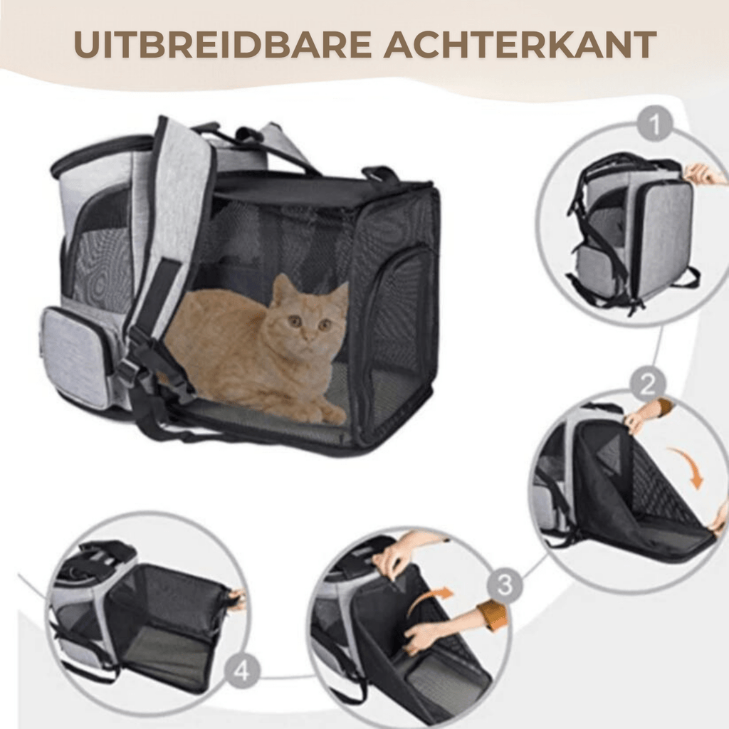 Comfortable Cat Backpack with Viewing Window