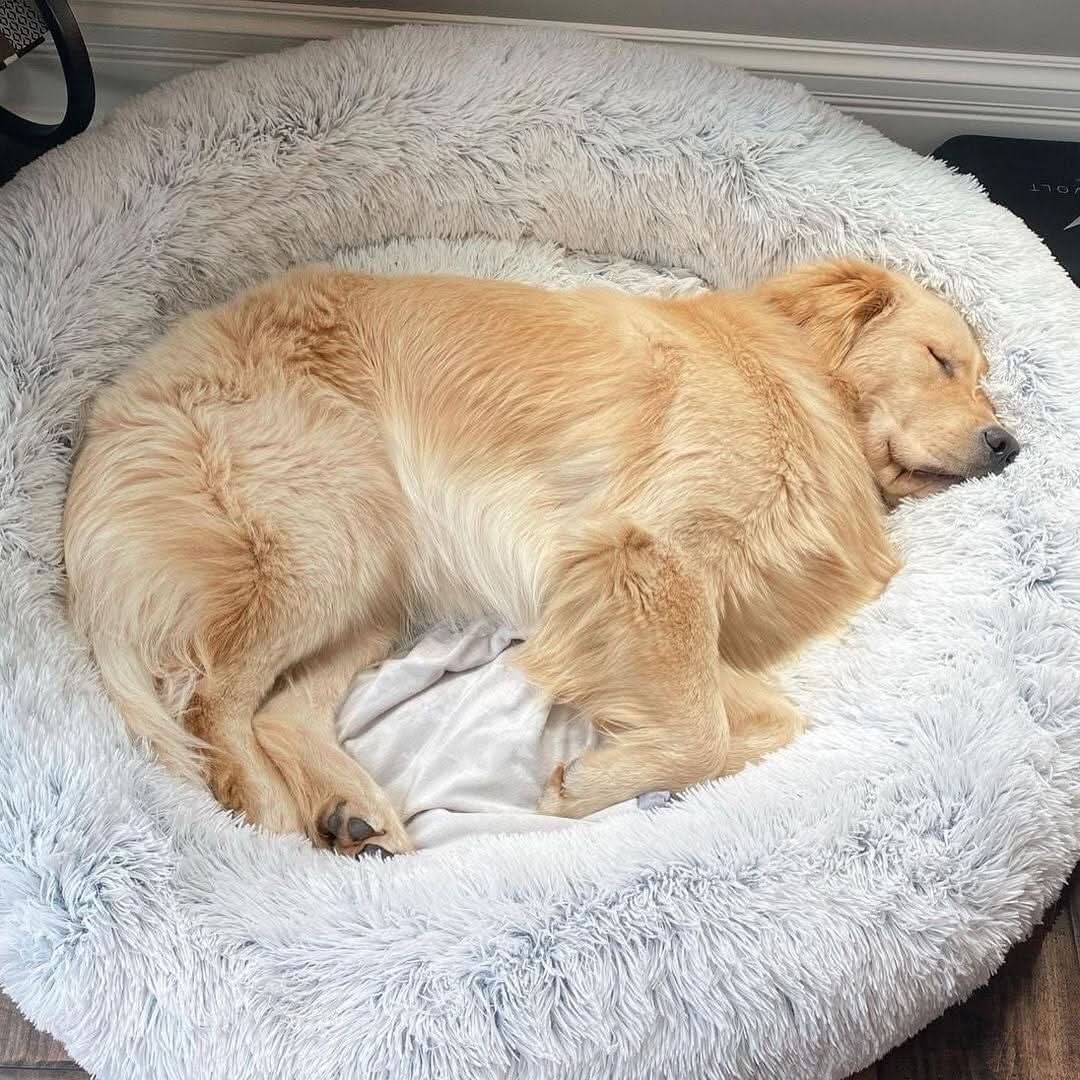Anti-Stress Dog Bed with Soft Faux Fur & Supportive Padding