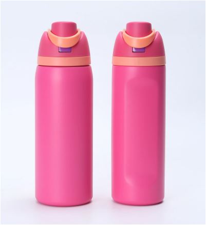 LeakProof – Insulated Stainless Steel Water Bottle with Straw