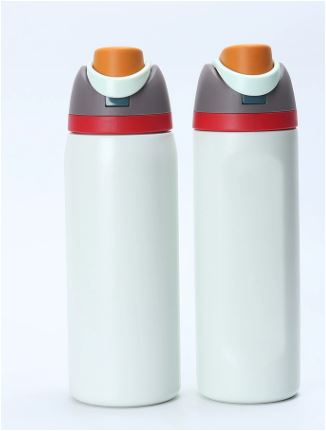LeakProof – Insulated Stainless Steel Water Bottle with Straw
