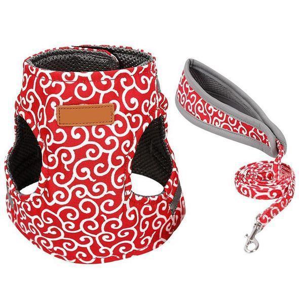 Collar jacket and leash for cat