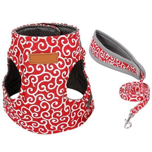 Cat vest harness and leash set for walks