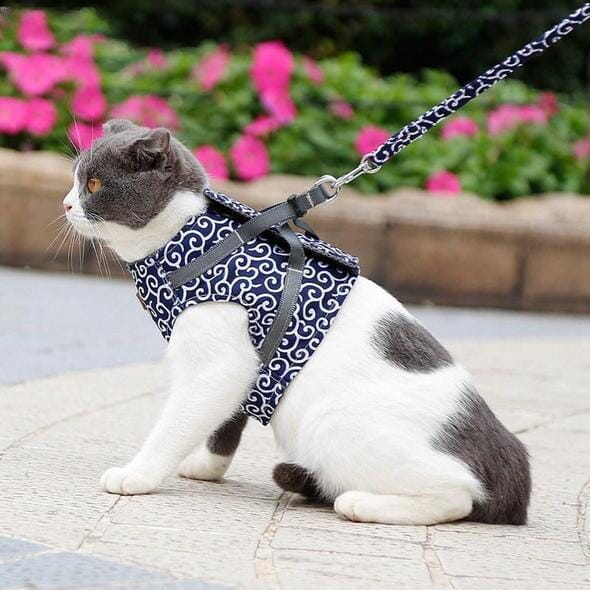 Cat vest harness and leash set for walks