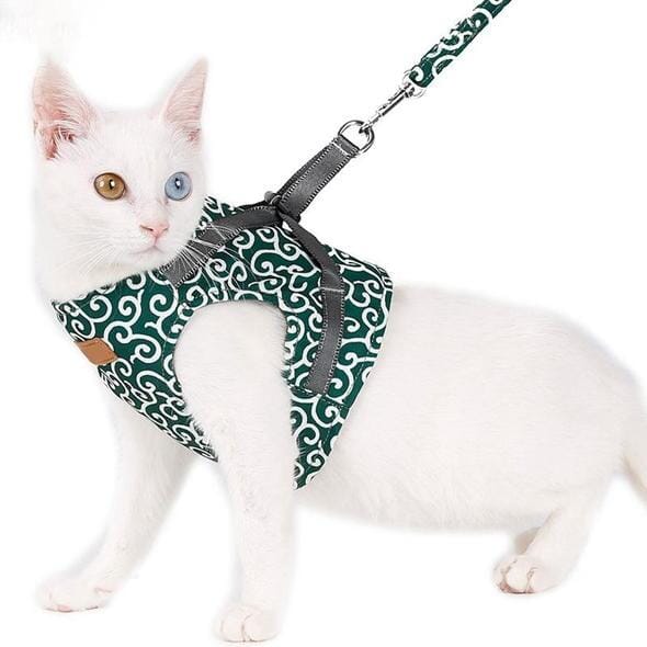 Cat vest harness and leash set for walks