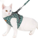 Collar jacket and leash for cat