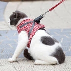 Cat vest harness and leash set for walks