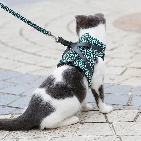 Cat vest harness and leash set for walks