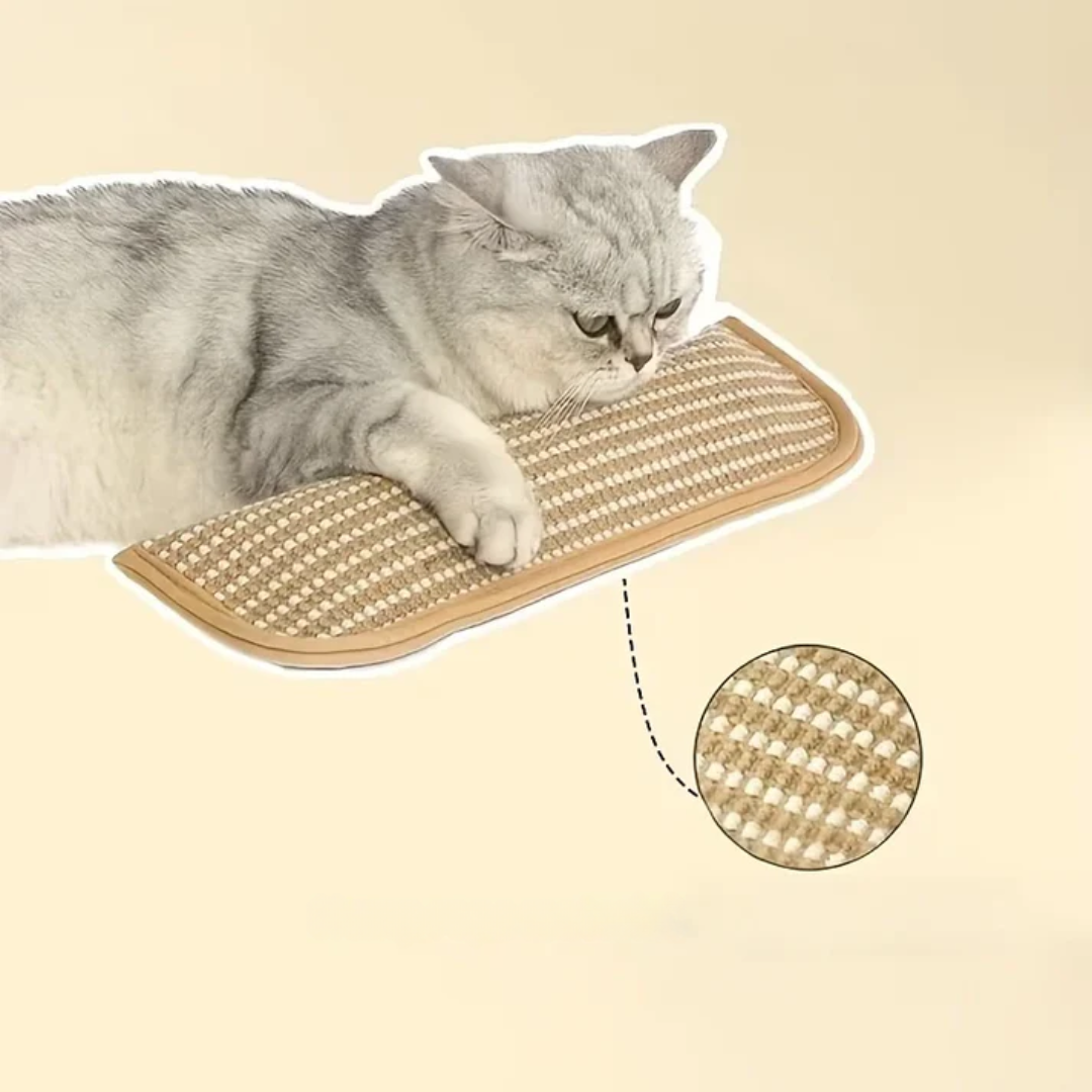 Scratching pillow for cats with catnip durable and sturdy