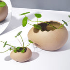 Ceramic Eggshell Bowl