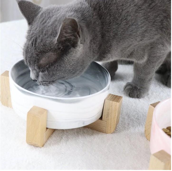 Ceramic Feeding Bowls