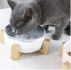 Ceramic Feeding Bowls