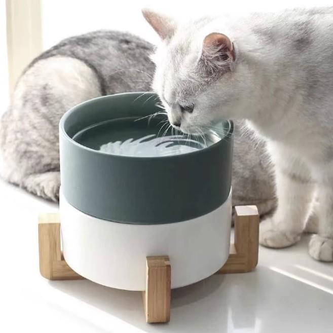 Ceramic Feeding Bowls