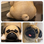 Charming Dog Statue made of Resin with Tray for Keys & Small Items