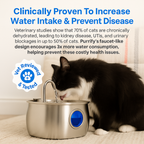 Felindra Cat Drinking Fountain Made of Stainless Steel | Flowing Water for Better Hydration | Quiet & Hygienic | 2.5 L Capacity
