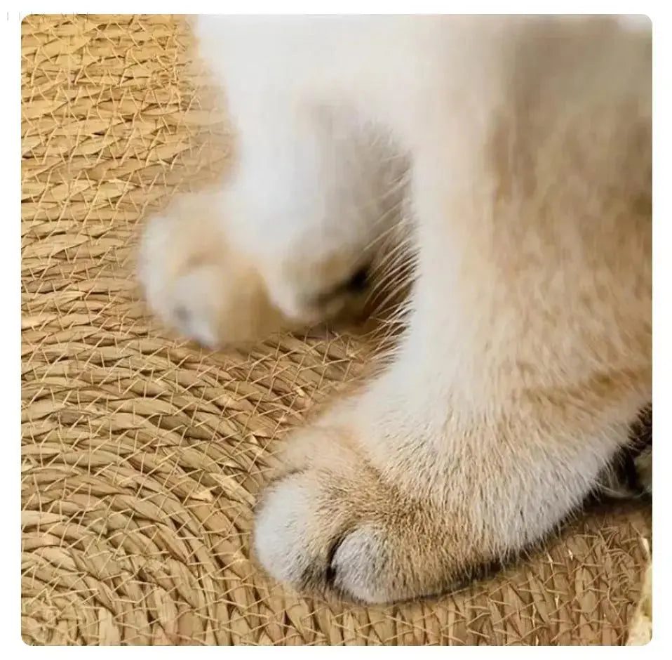 Cozypets – Super soft and comfortable cat bed
