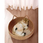CloudNest | Bamboo cat bed with cuddle cushion