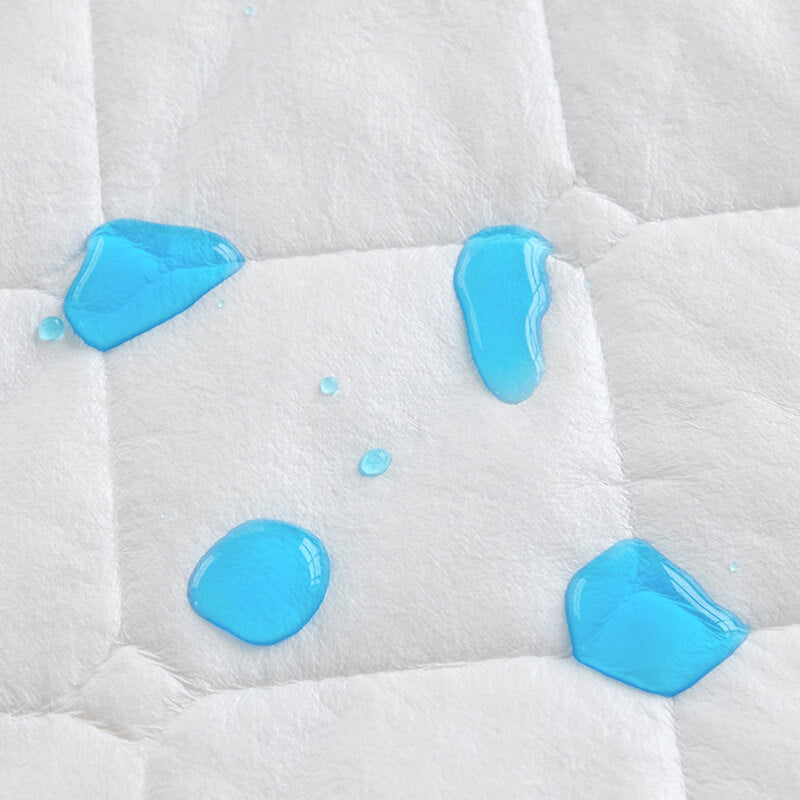Comfort Encapsulated Waterproof Mattress Protector