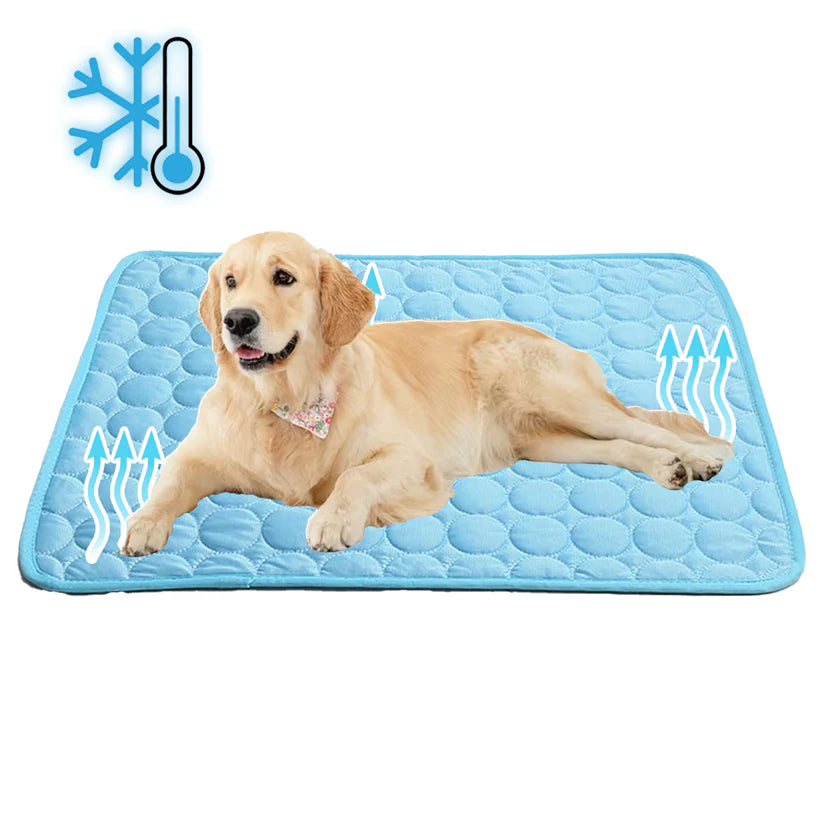 Self-Cooling Mat for Four-Legged Friends Ideal for Hot Summer
