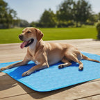 Self-Cooling Mat for Four-Legged Friends Ideal for Hot Summer