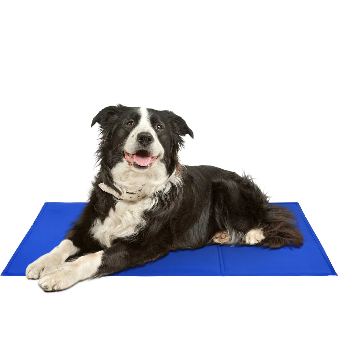FrescuraPet Cooling Mat for Dogs & Cats | Self-Cooling & Joint-Saving | Foldable & Portable | 5 Sizes | Blue