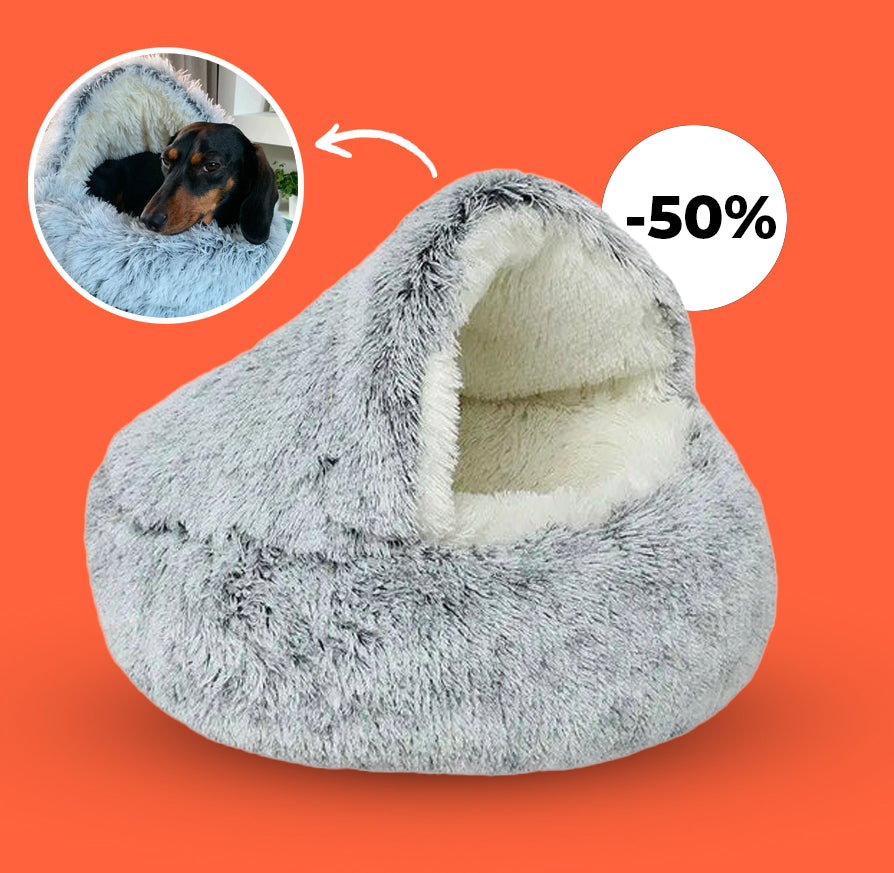 FurHaven - My dog loves it