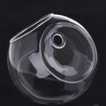 AeroVase - Hydrologische Glasdecoratie
