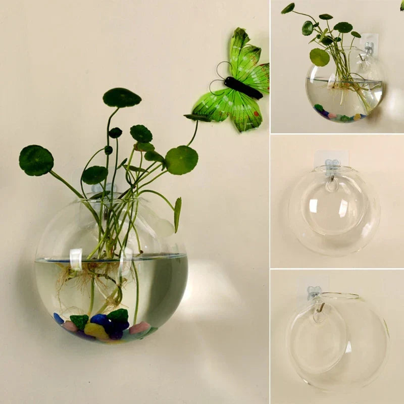 AeroVase - Hydrologische Glasdecoratie